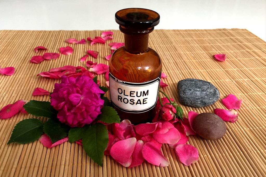First Rose Oil