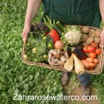 From Farm to Table: The Journey of Organic Food