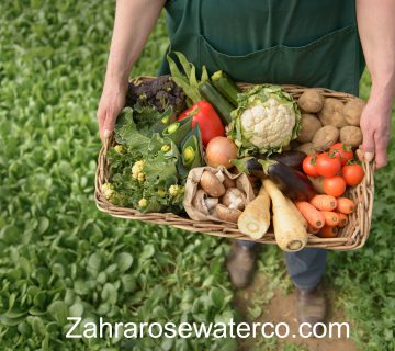 From Farm to Table: The Journey of Organic Food