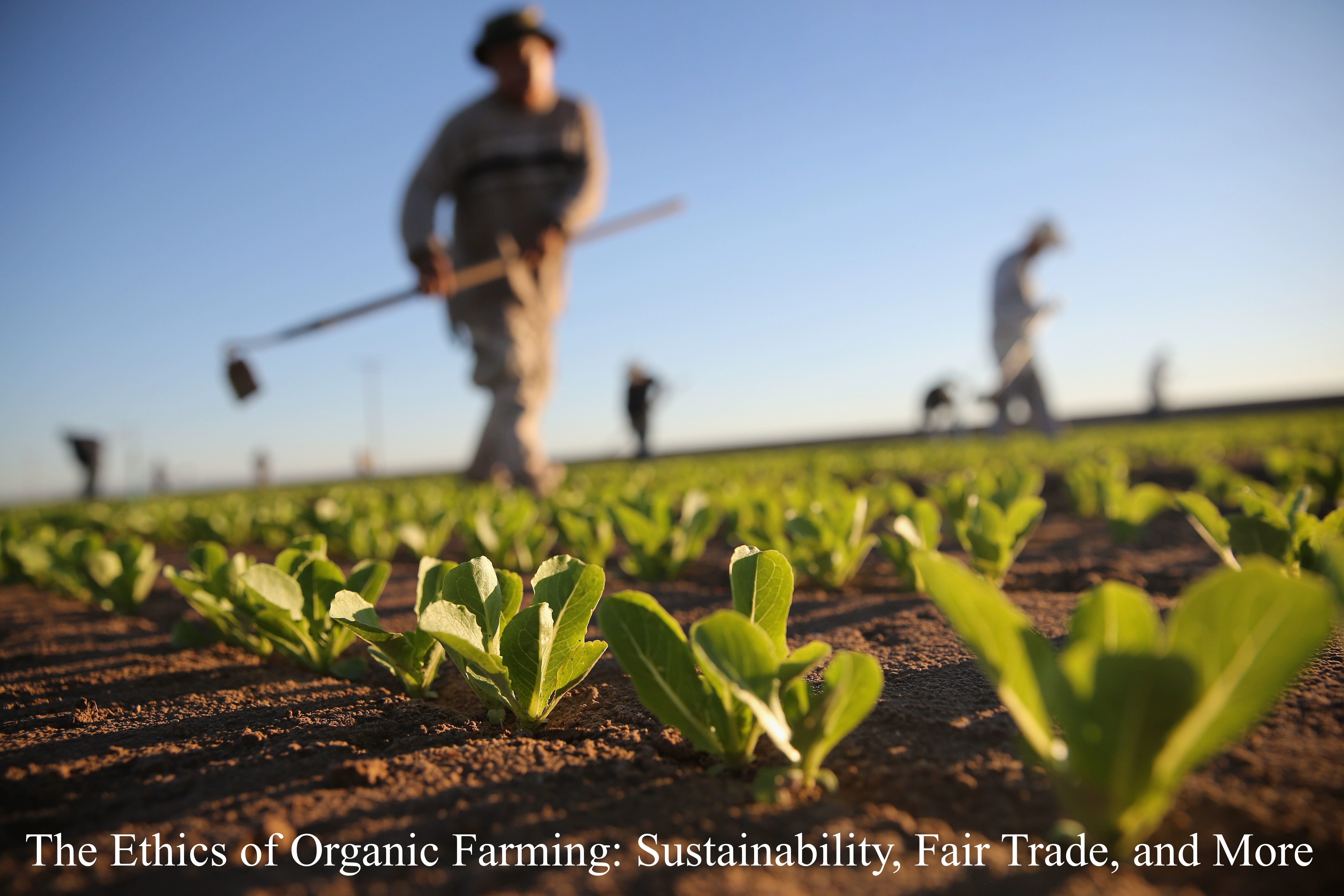 The Ethics of Organic Farming: Sustainability, Fair Trade, and More