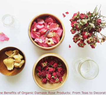 The Benefits of Organic Damask Rose Products: From Teas to Decoration