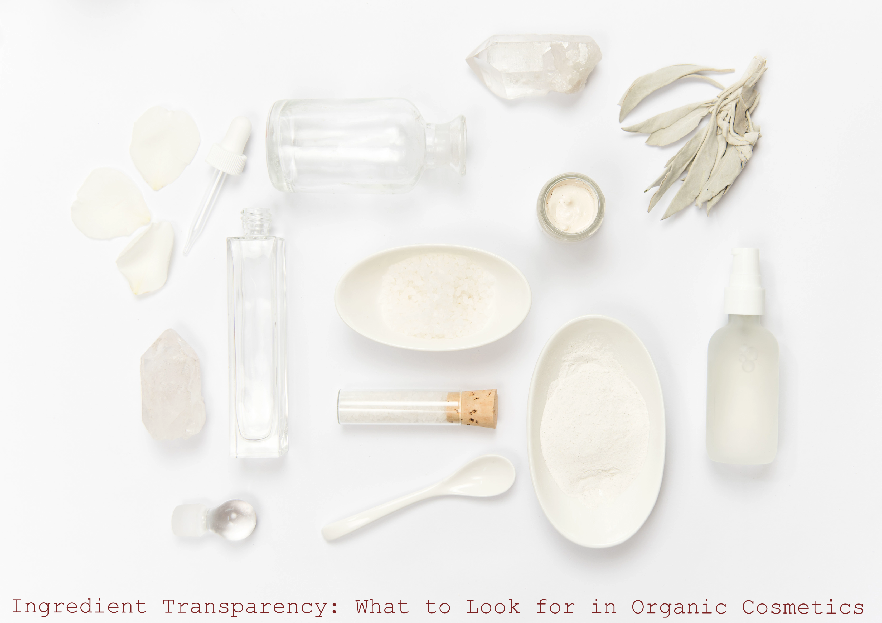 Ingredient Transparency: What to Look for in Organic Cosmetics