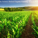 The Science Behind Organic Farming: How it Works