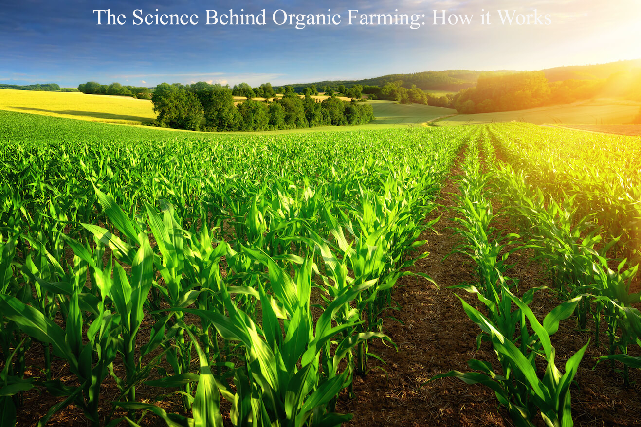 The Science Behind Organic Farming: How it Works