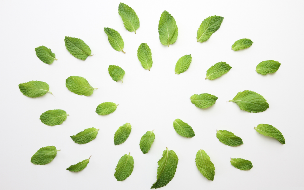 How Mint Extract Works