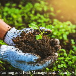 Organic Farming and Pest Management: Natural Approaches