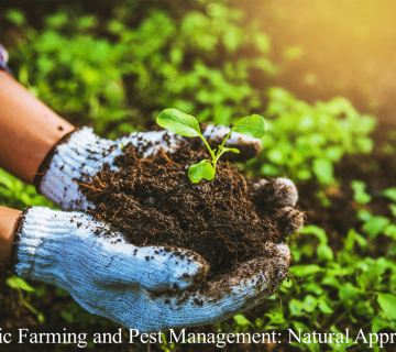 Organic Farming and Pest Management: Natural Approaches