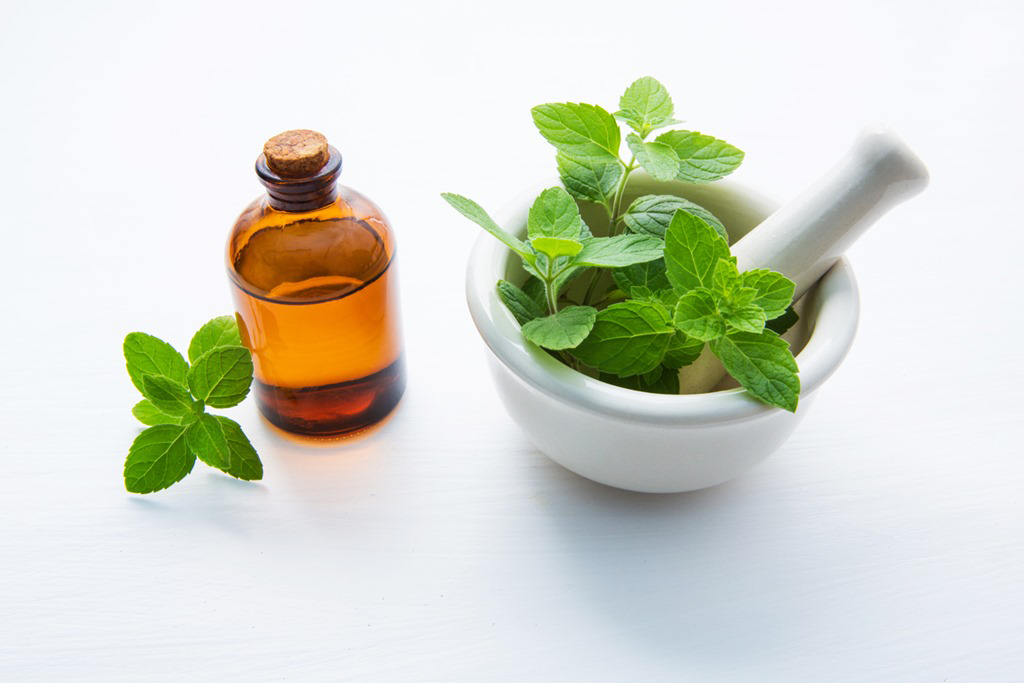 benefit of mint
