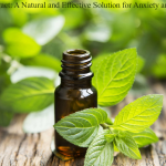 Mint Extract: A Natural and Effective Solution for Anxiety and Stress