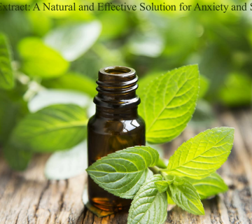 Mint Extract: A Natural and Effective Solution for Anxiety and Stress