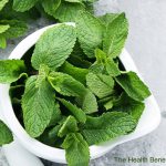 The Health Benefits of Mint Extract