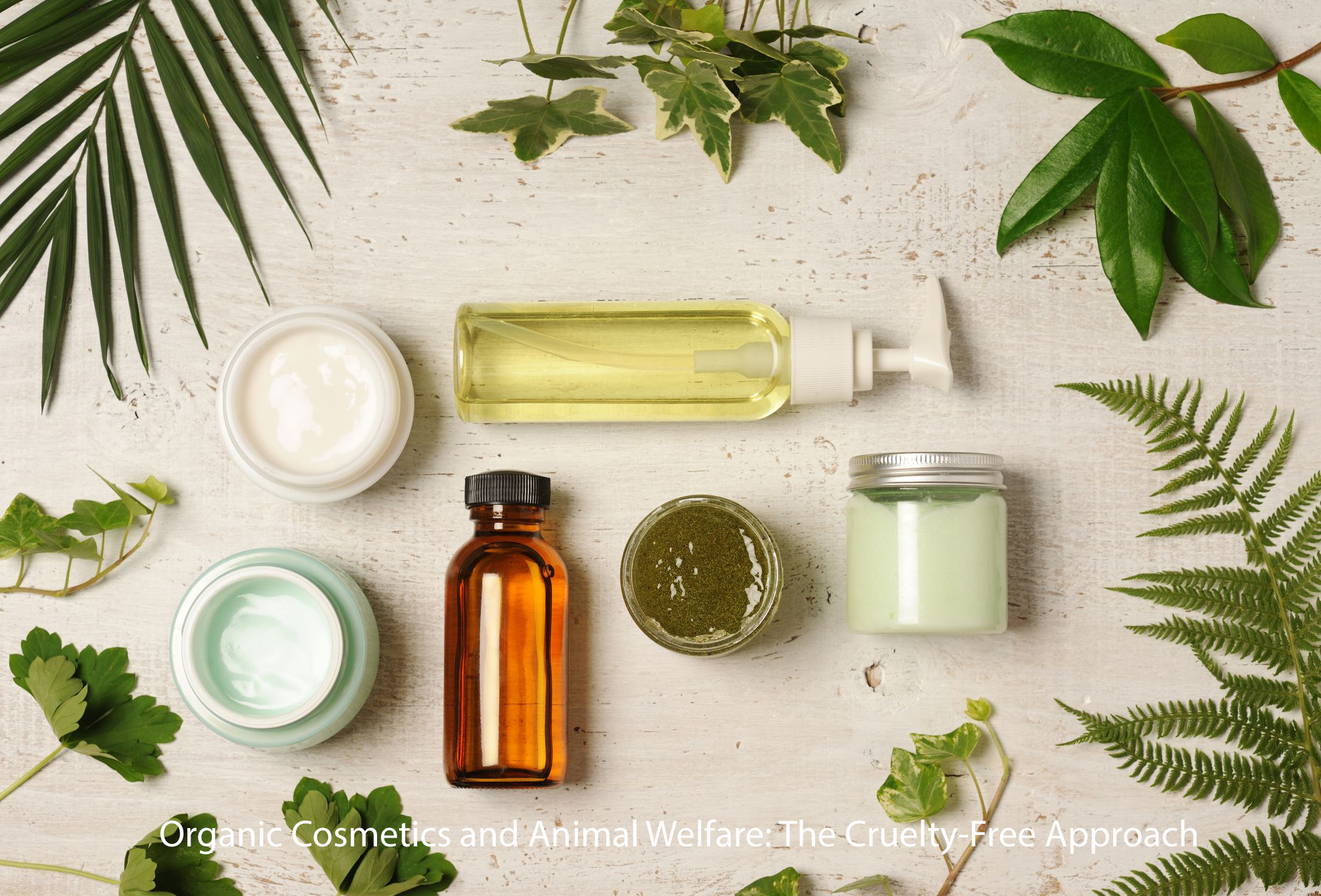 Organic Cosmetics and Animal Welfare: The Cruelty-Free Approach