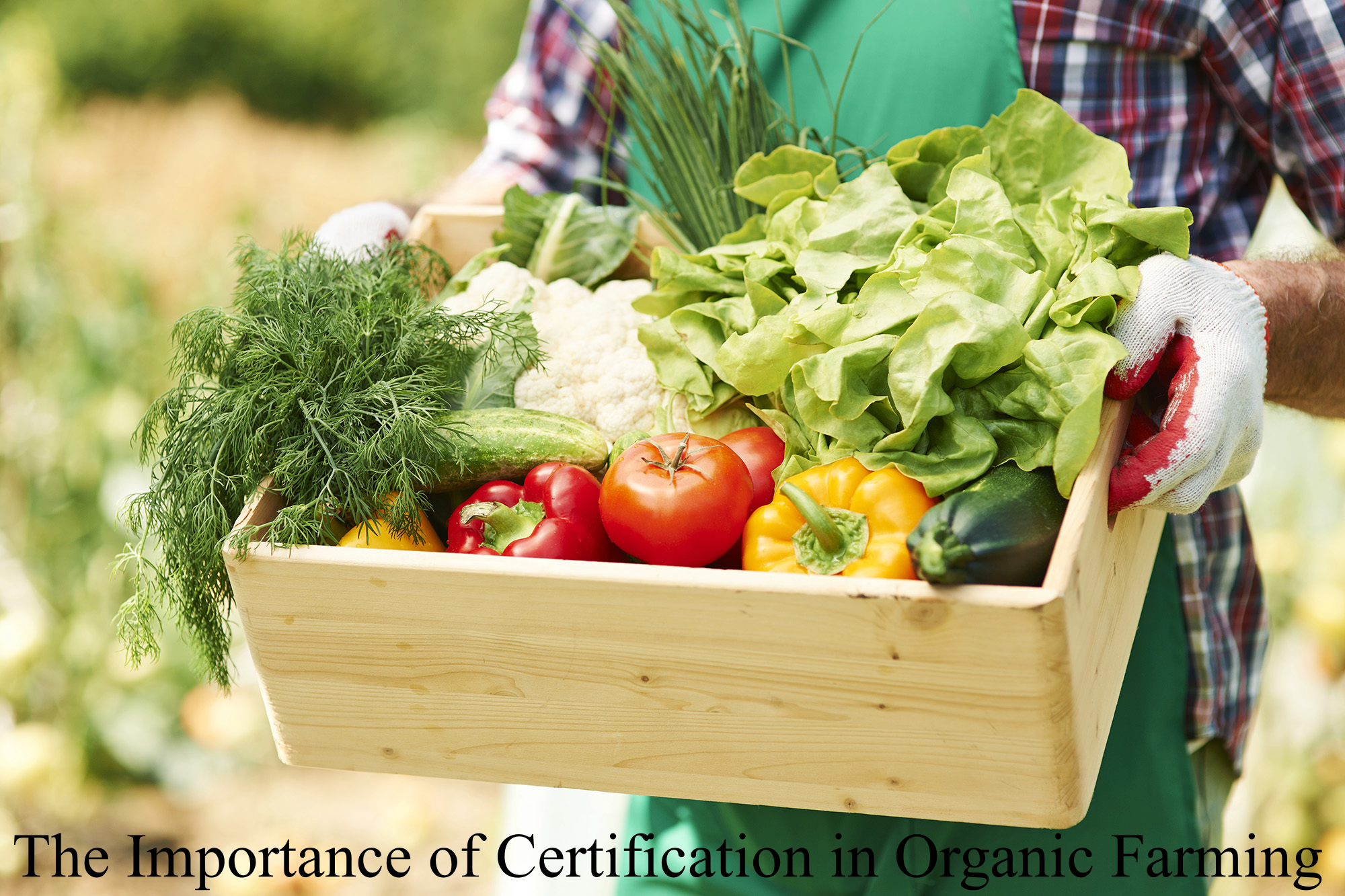 Organic Farming