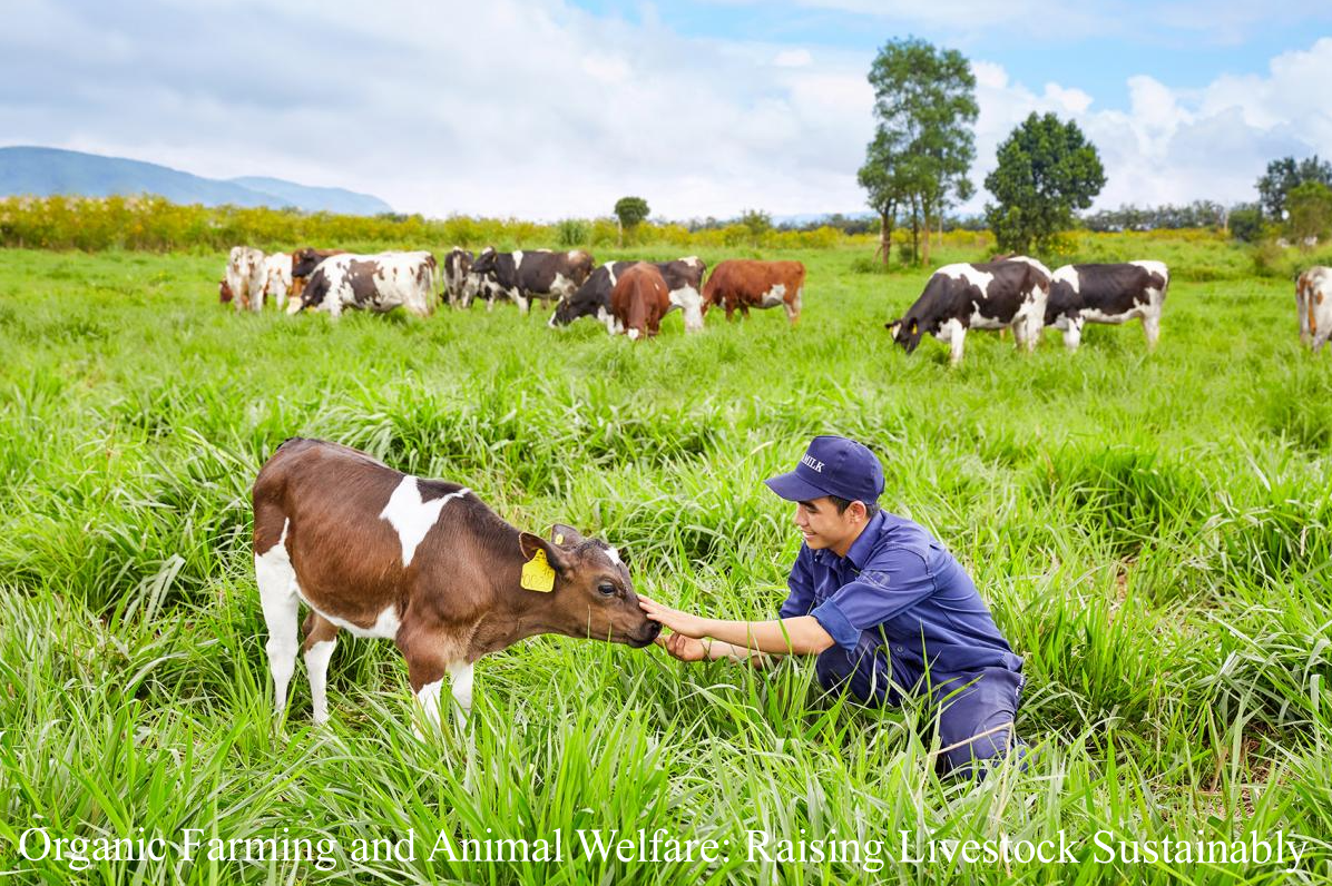 Organic Farming and Animal Welfare