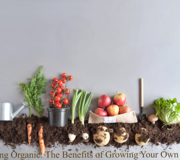 growing organic food