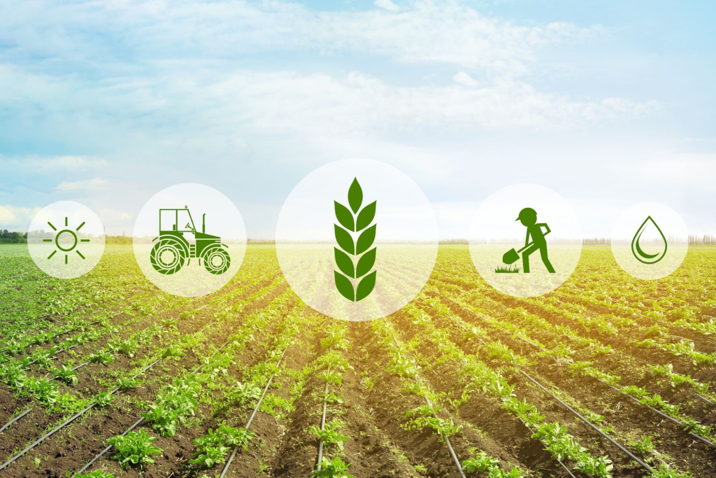 organic farming