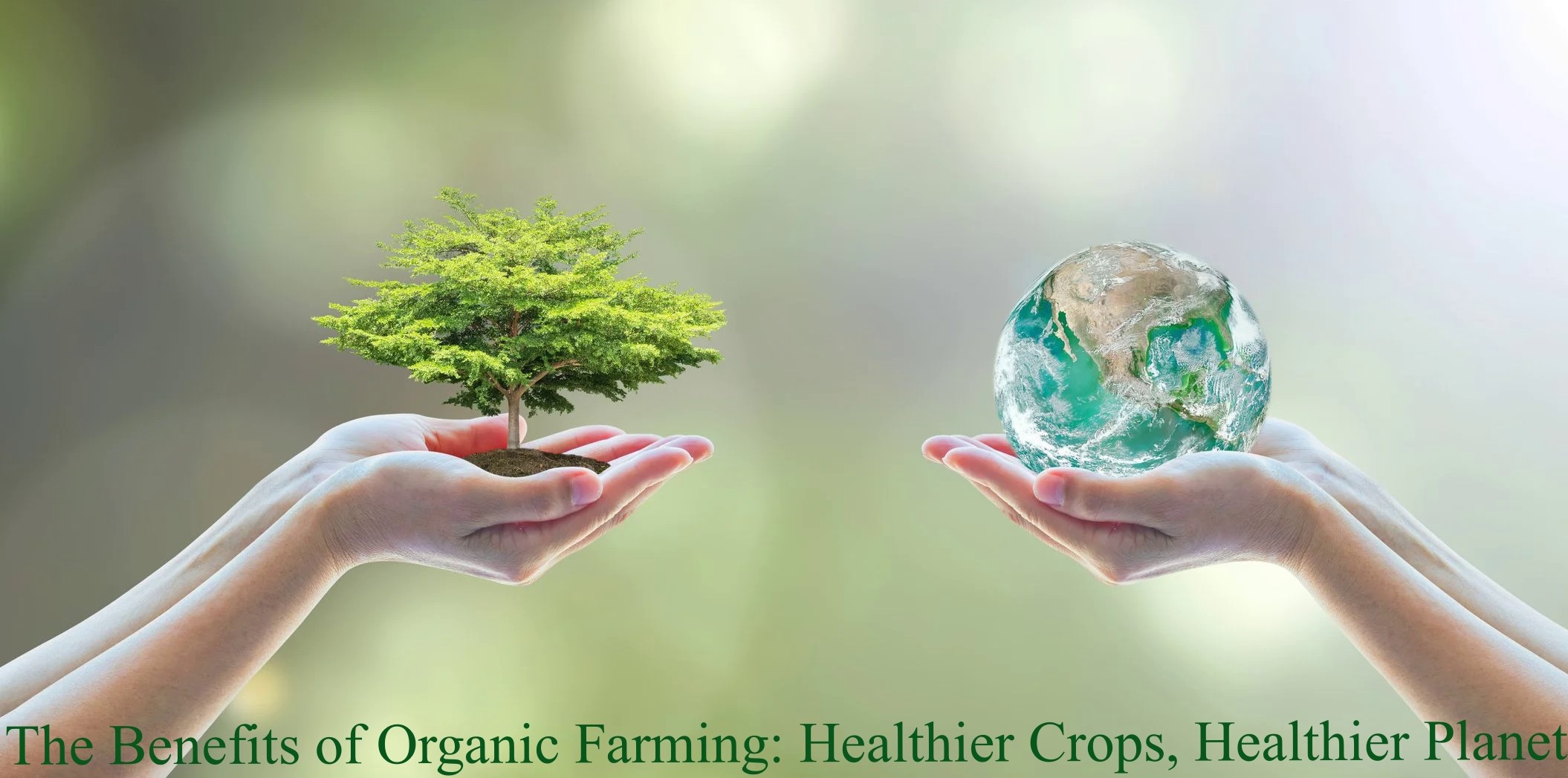healthier crops, healthier planet