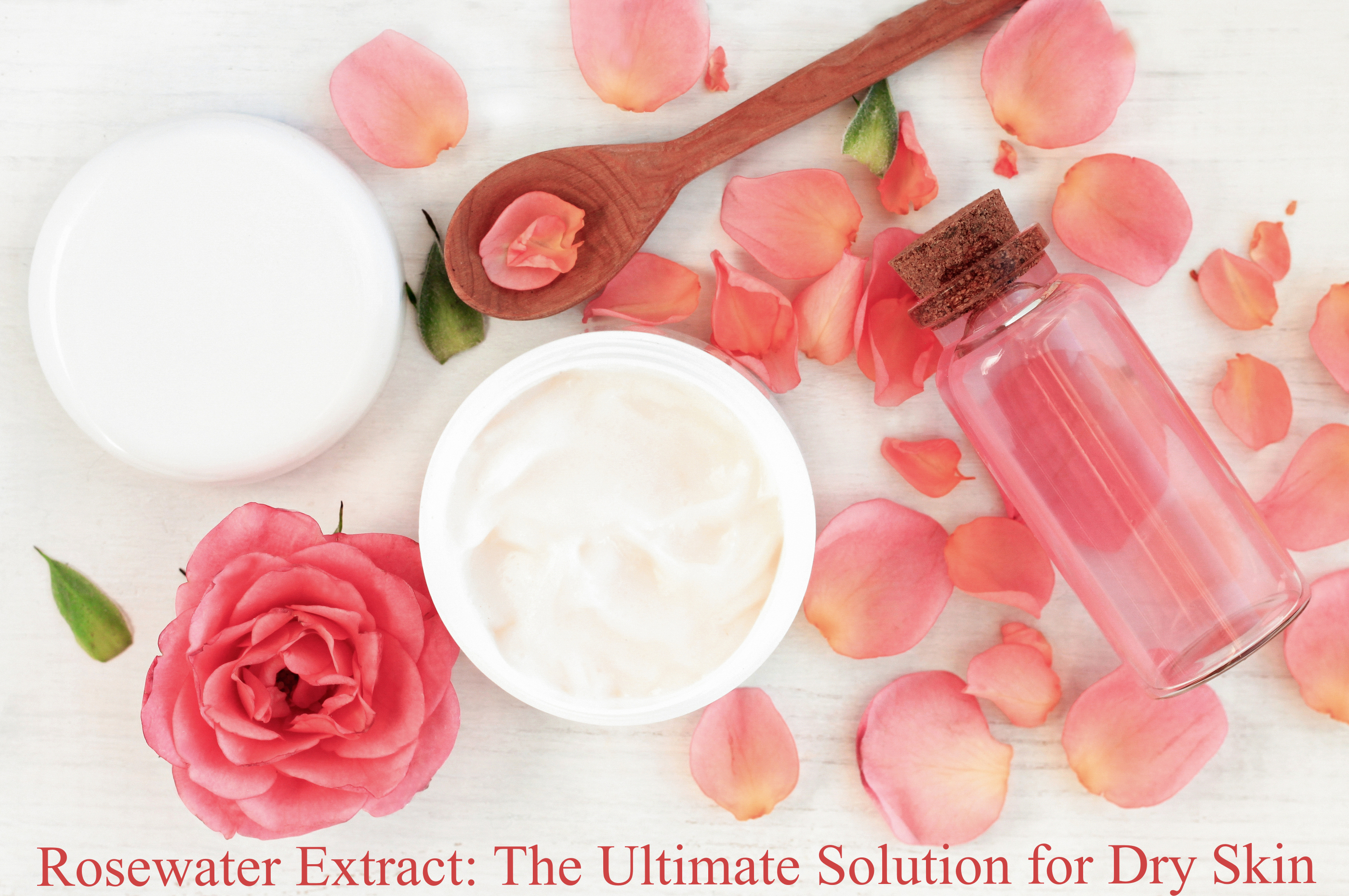 rosewater extract and dry skin