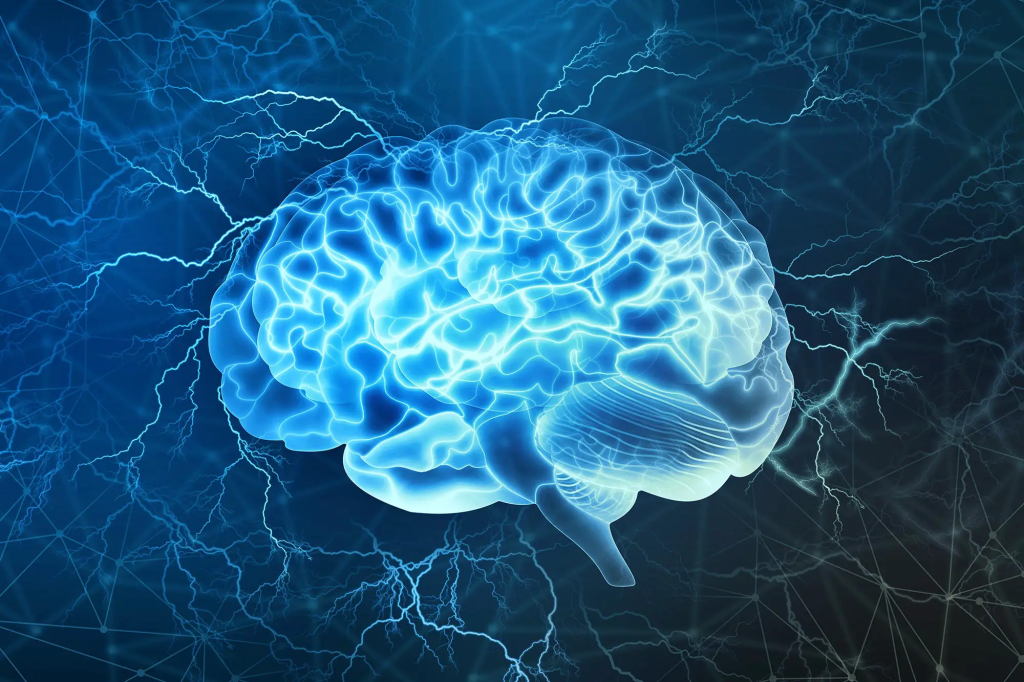 brain and mint