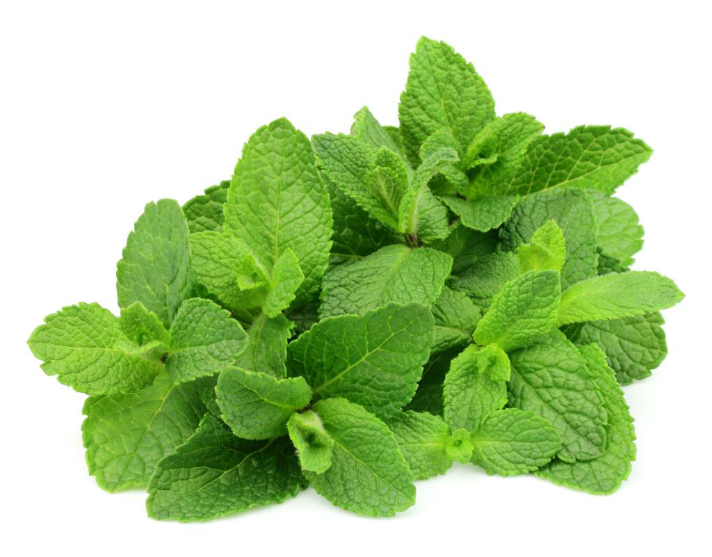mint and health heart