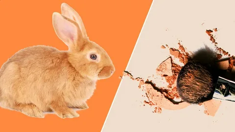 Ethical Implications of Organic Cosmetics