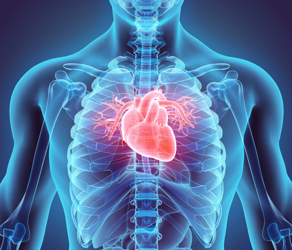 heart and mint extract