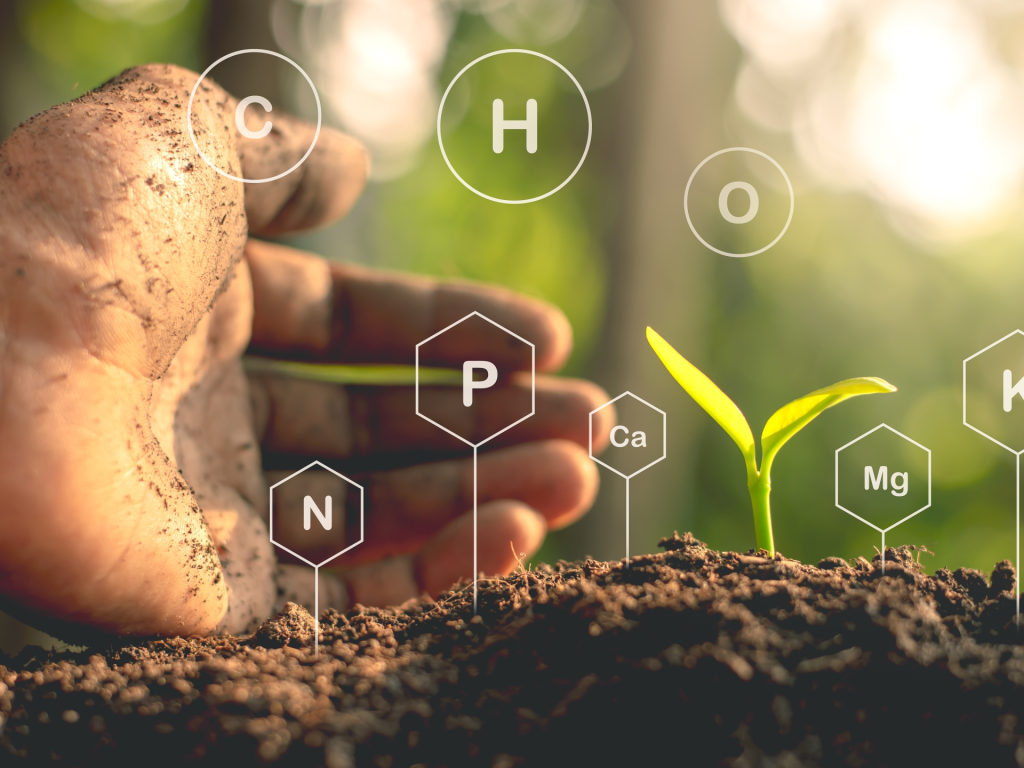 Soil Health