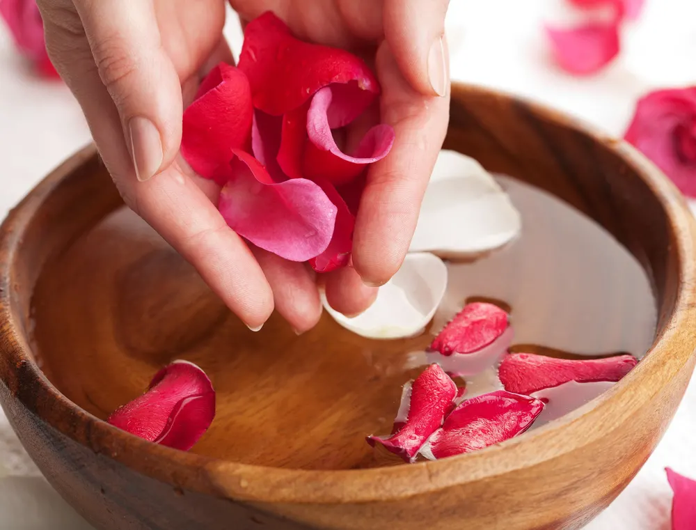Anti-Inflammatory Properties of Rosewater Extract
