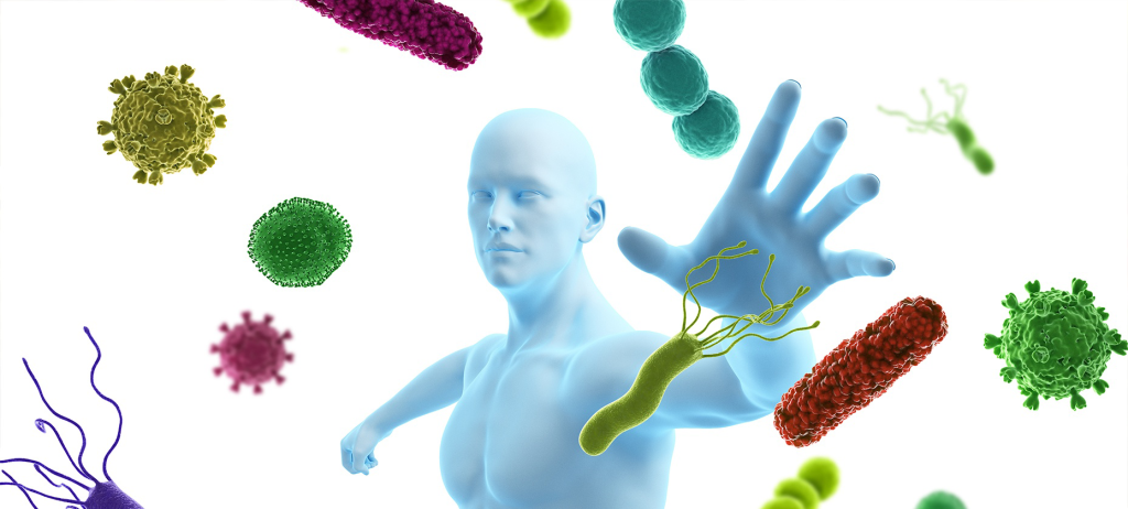 Boosts Immune System Mint extract