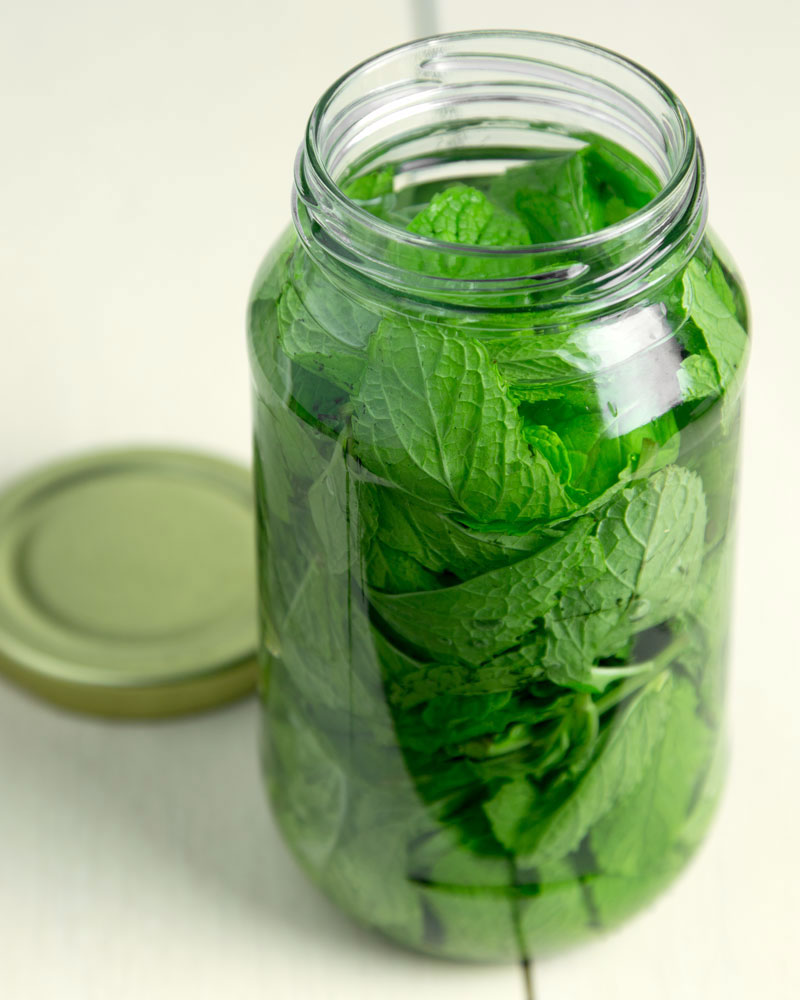 mint extract
