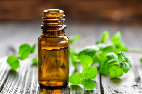 mint extract