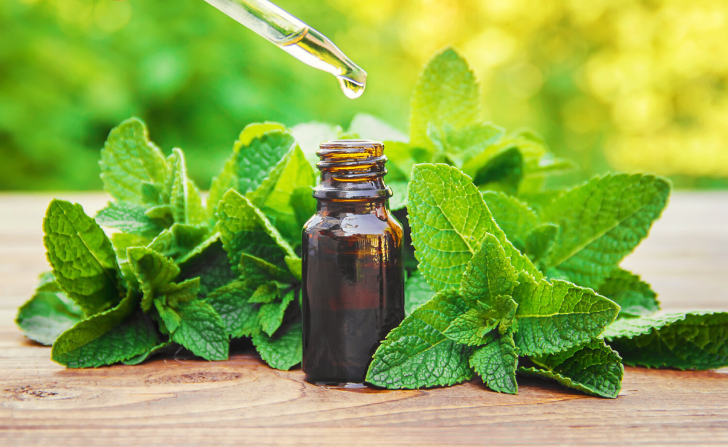 mint extract