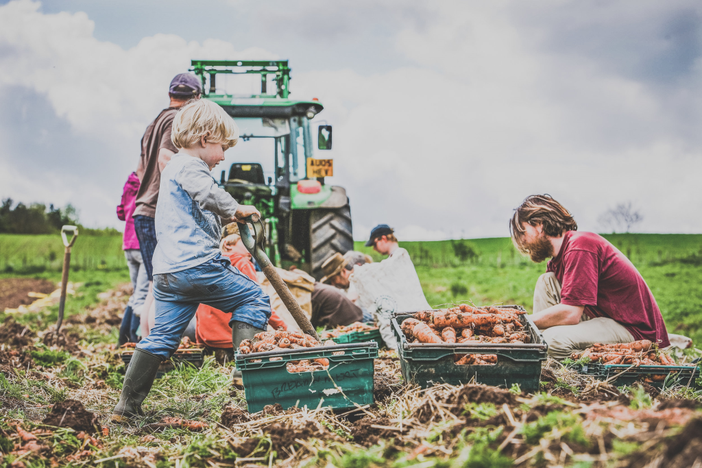 small-scale farmers
