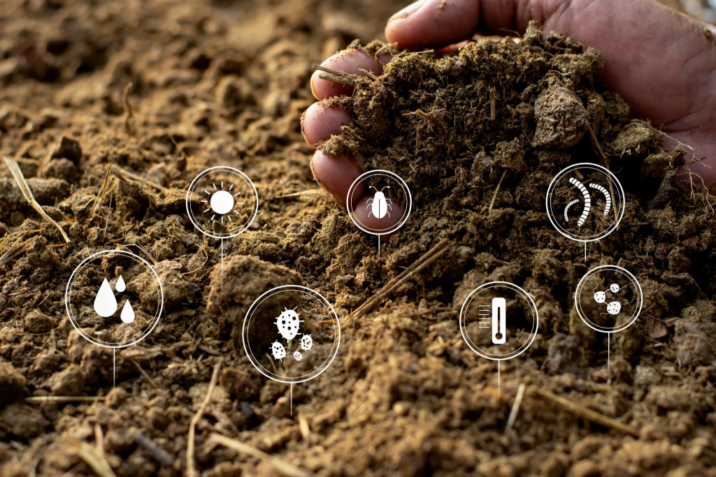 soil-health